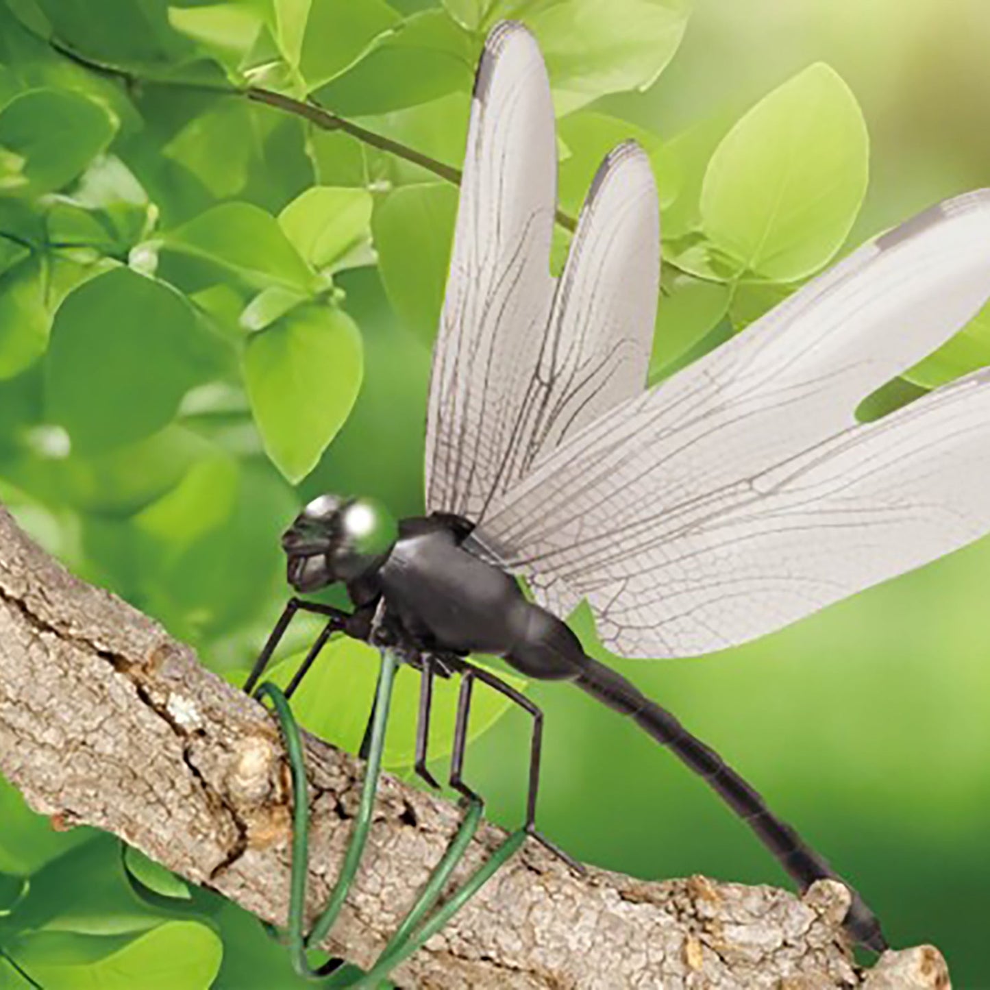 お庭の見張り番オニヤンマ3匹セット