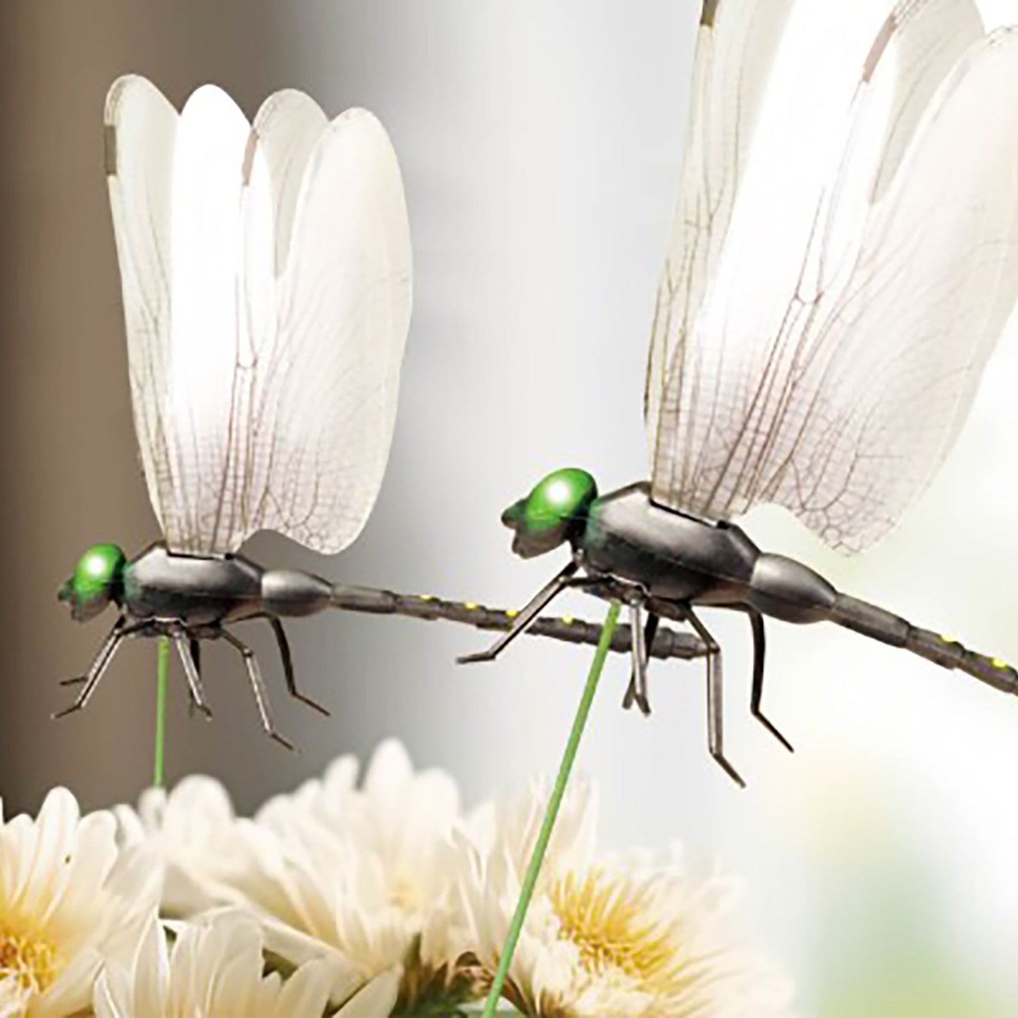 お庭の見張り番オニヤンマ3匹セット