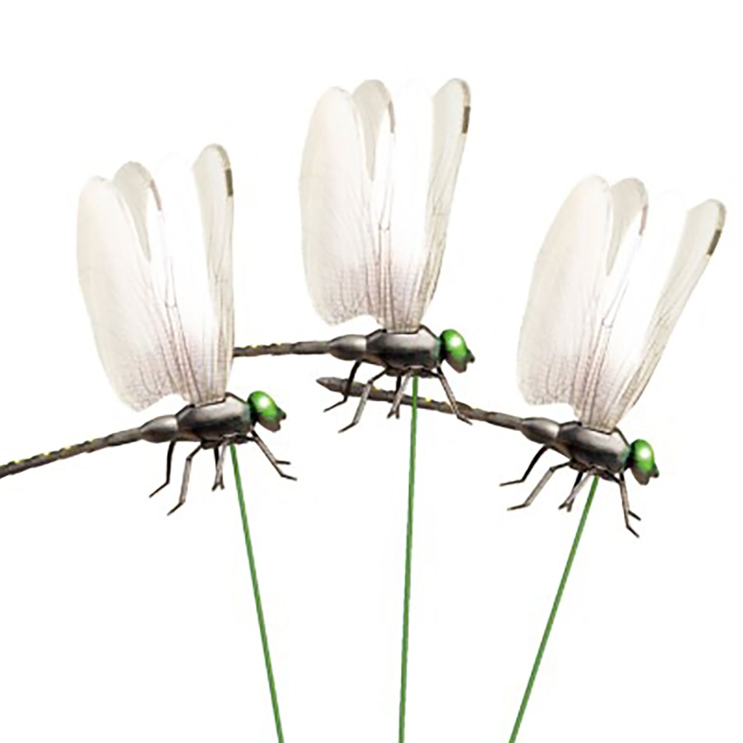 お庭の見張り番オニヤンマ3匹セット