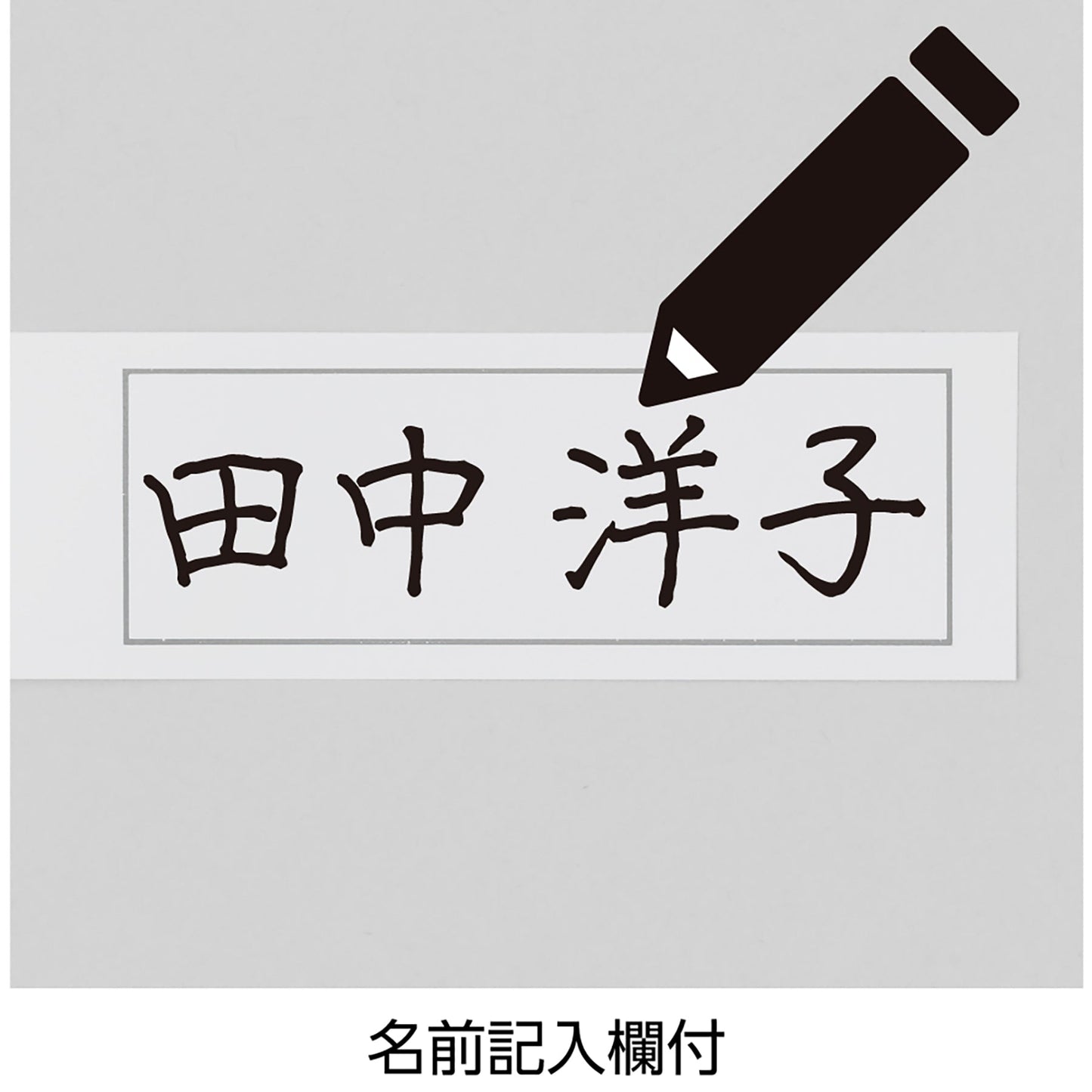裏起毛スタイルケアパンツ 抗菌防臭 肉厚あったか素材 秋冬 婦人用 CH 3L