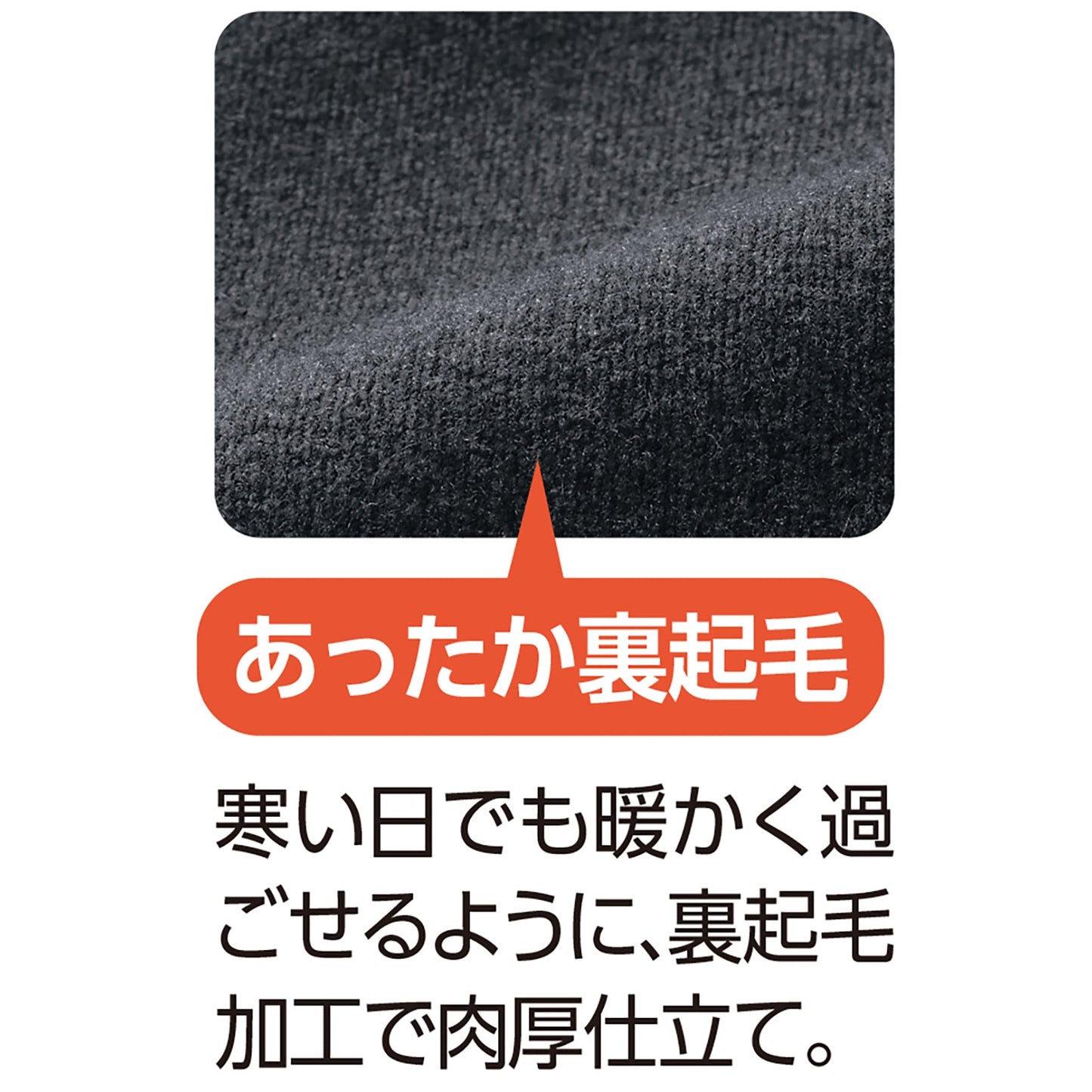 裏起毛スタイルケアパンツ 抗菌防臭 肉厚あったか素材 秋冬 婦人用 CH 3L