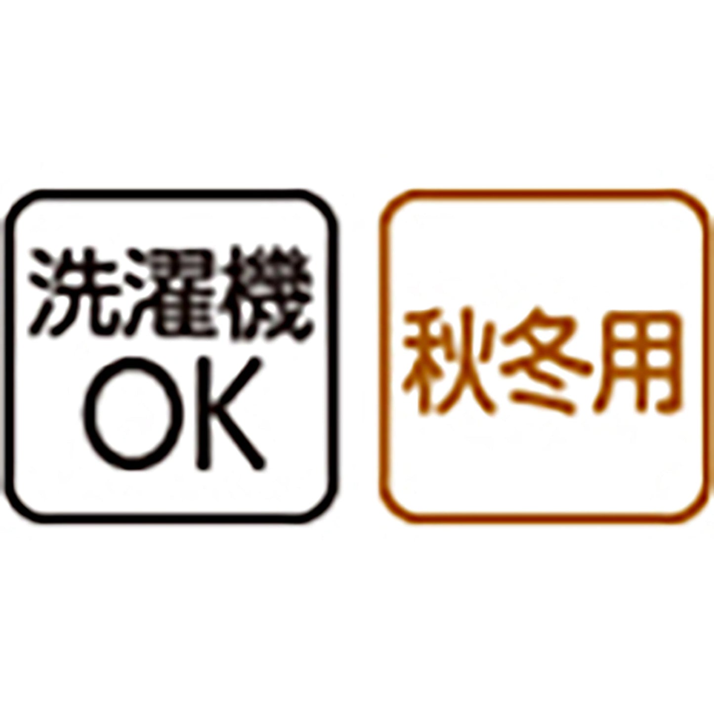裏起毛スタイルケアパンツ 抗菌防臭 肉厚あったか素材 秋冬 婦人用 BR M