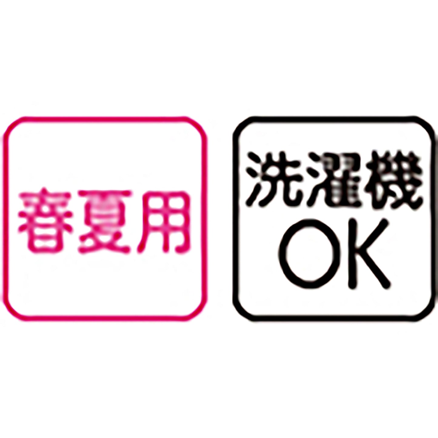 スタイルケアパンツ 抗菌防臭 ゆったり総ゴム 春夏 婦人用 BGY M