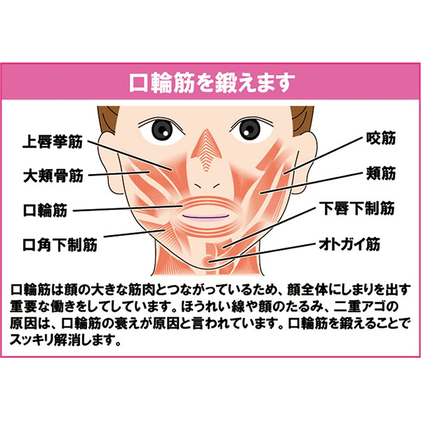 オムニ NEWフェイシャルリフトアトワンス 表情筋エクササイズ美顔器 防水 PK