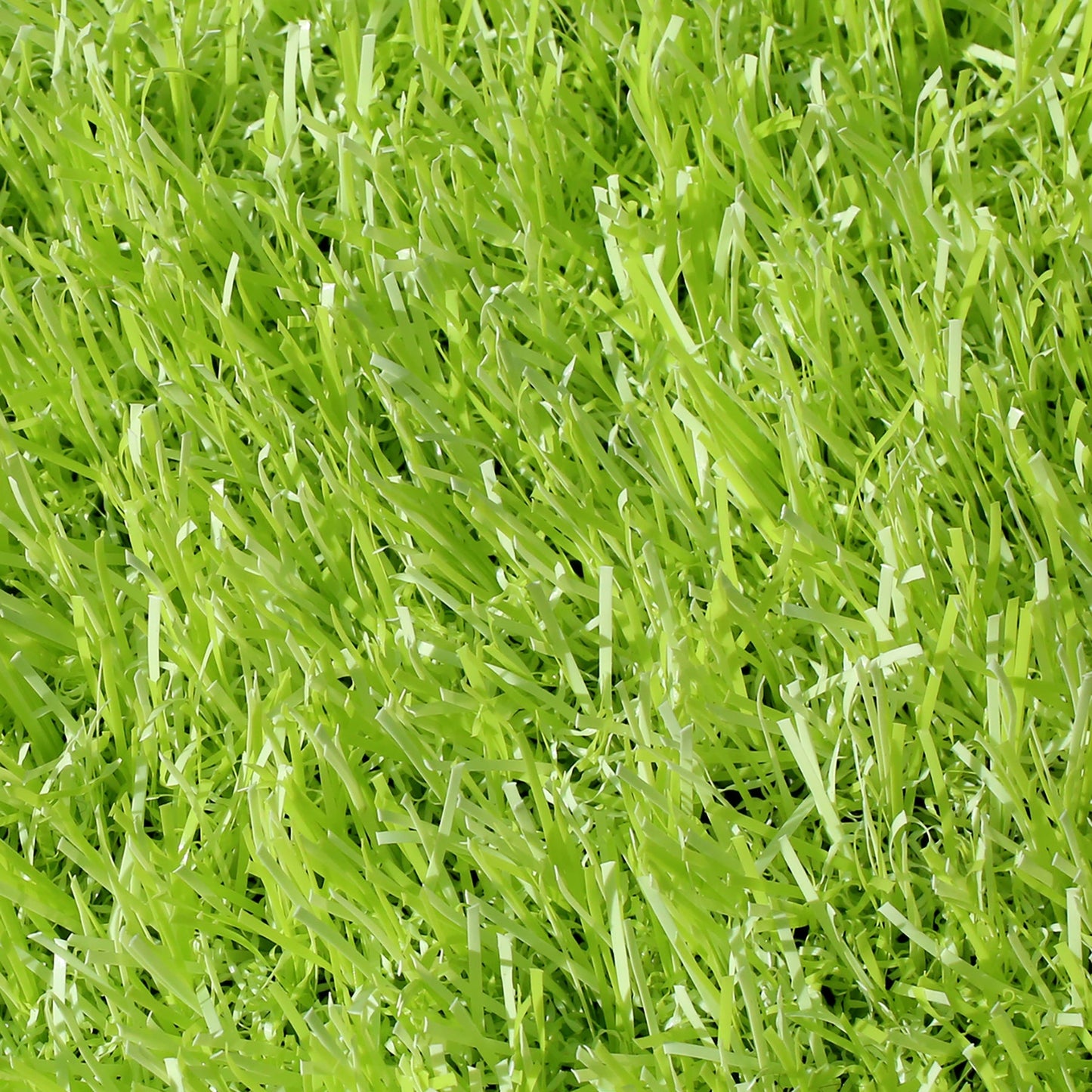 ビビットターフ 芝丈28mm 巾1m×長さ10m ライムグリーン