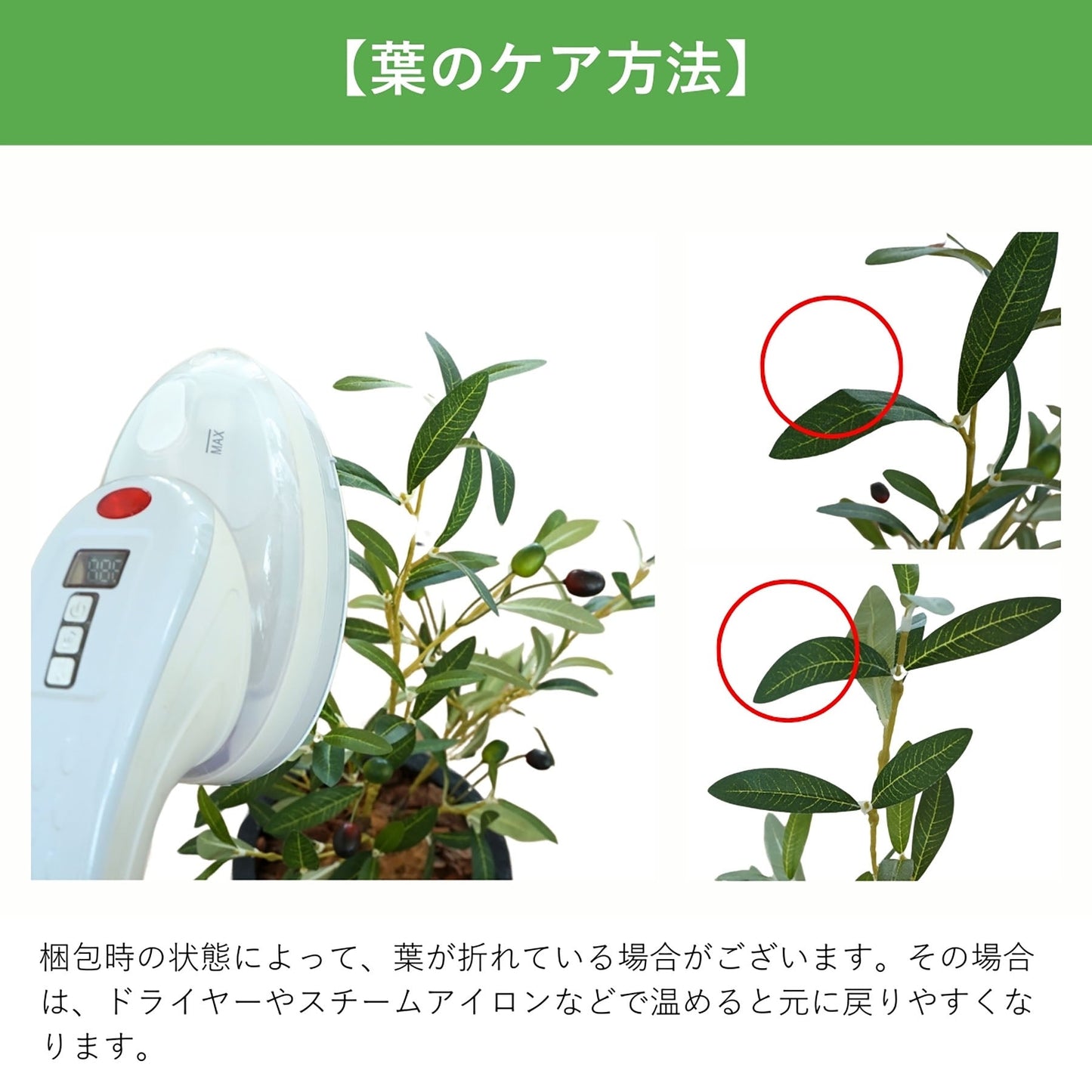光触媒インテリアグリーン アガベ 観葉植物 高さ65cm