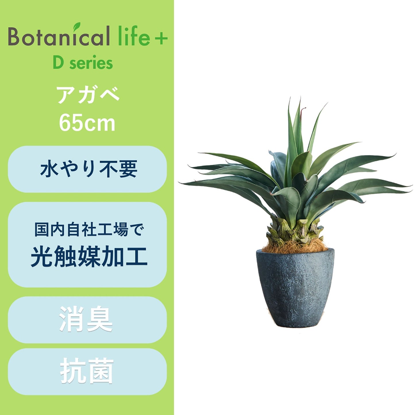 光触媒インテリアグリーン アガベ 観葉植物 高さ65cm