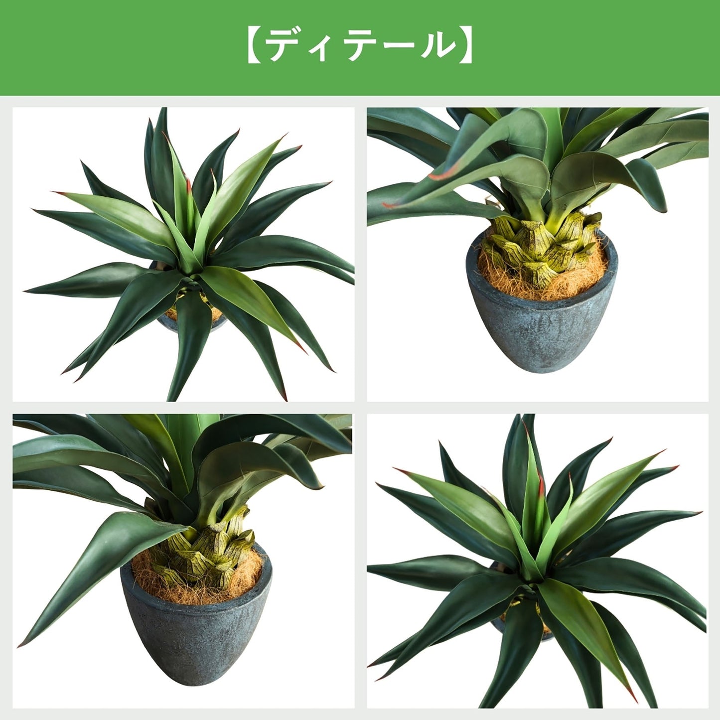 光触媒インテリアグリーン アガベ 観葉植物 高さ65cm