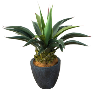 光触媒インテリアグリーン アガベ 観葉植物 高さ65cm