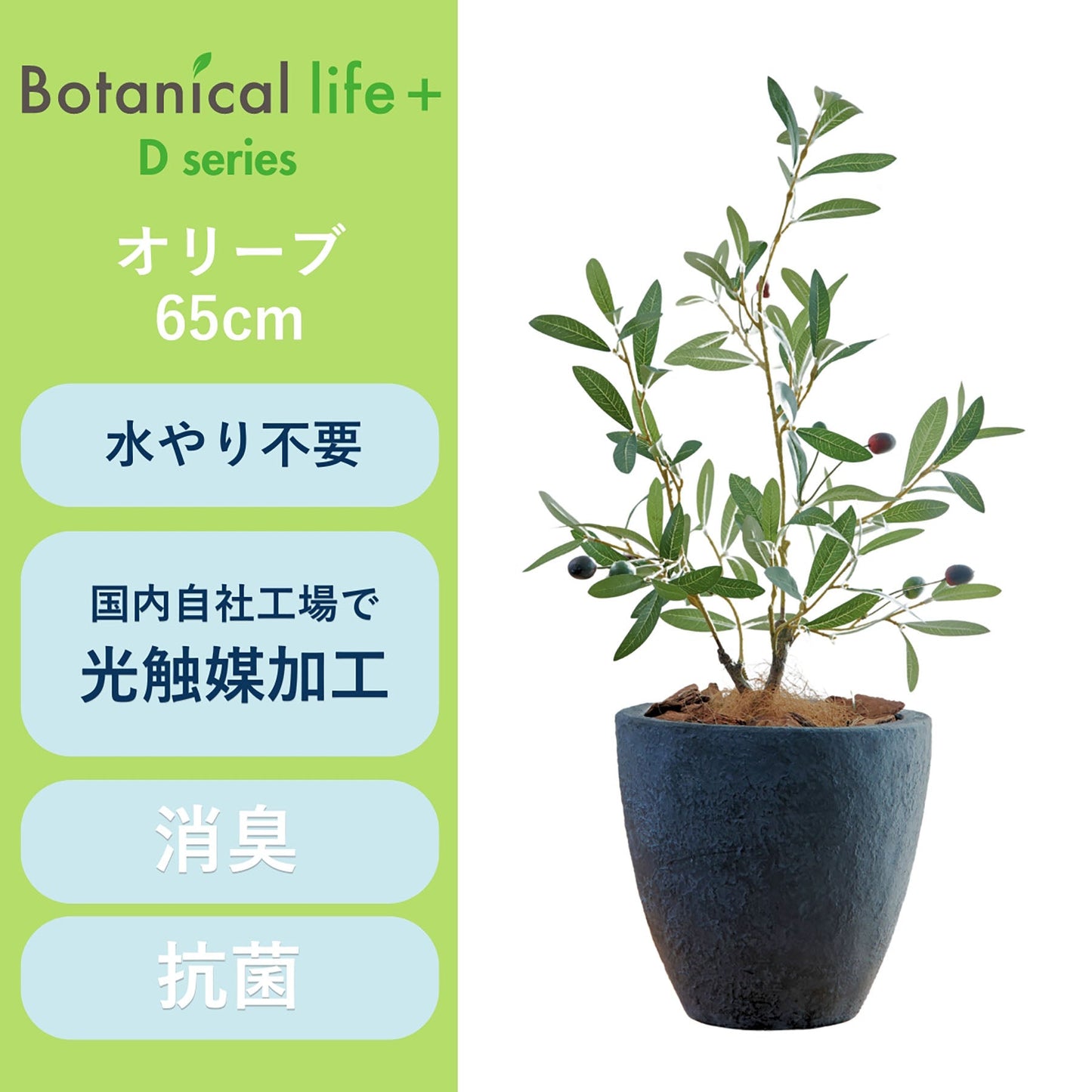 光触媒インテリアグリーン オリーブ 観葉植物 高さ65cm