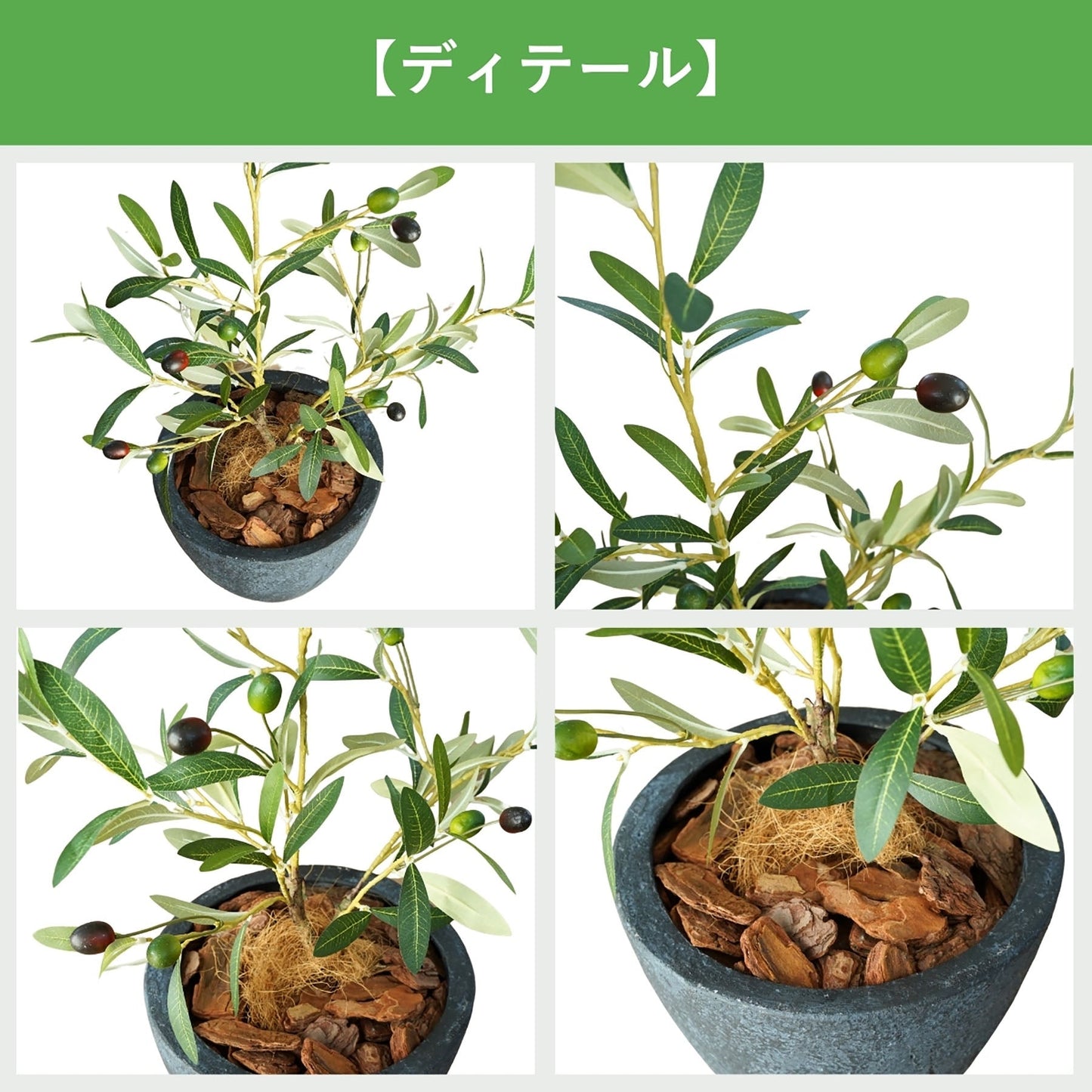 光触媒インテリアグリーン オリーブ 観葉植物 高さ65cm