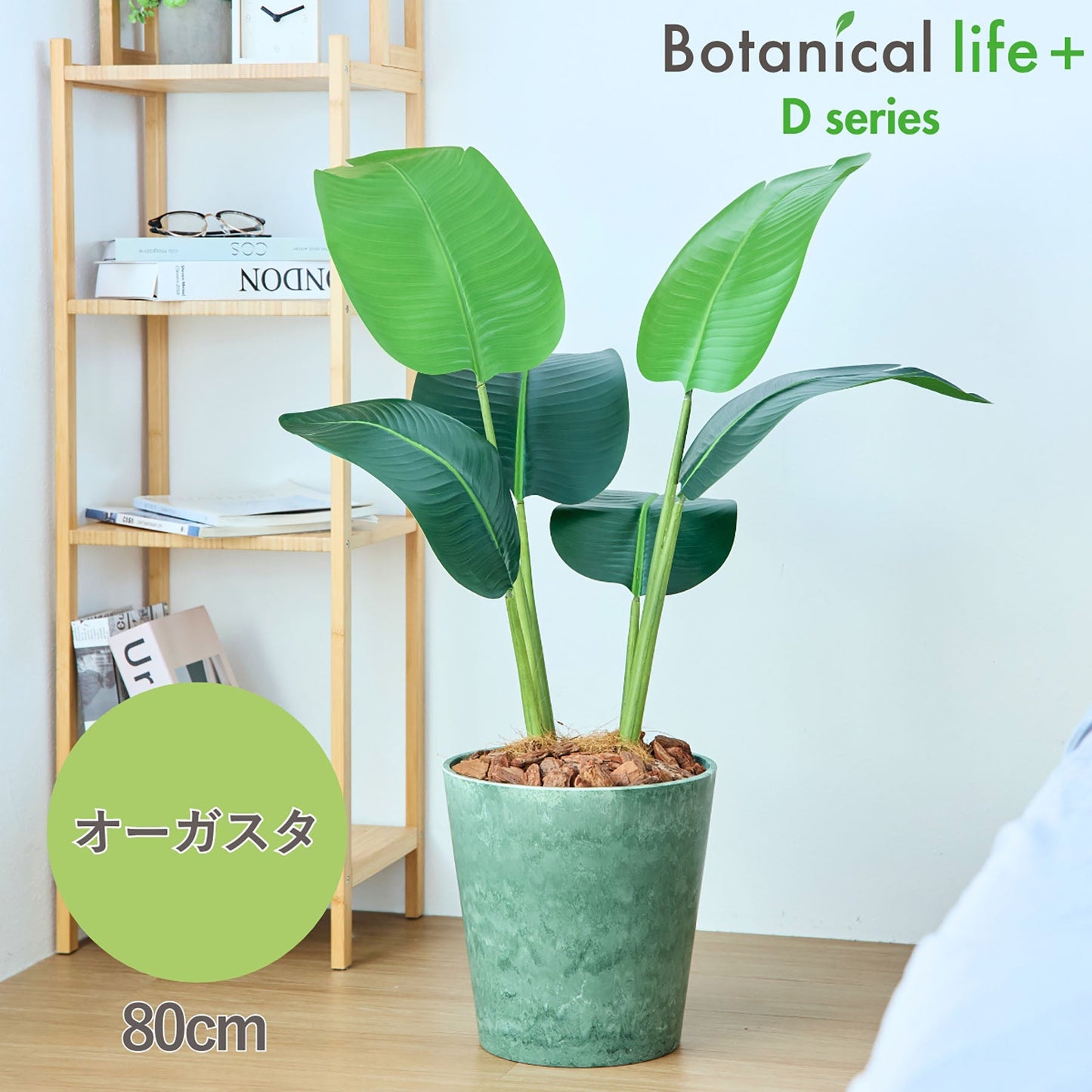 光触媒インテリアグリーン オーガスタ 観葉植物 高さ80cm