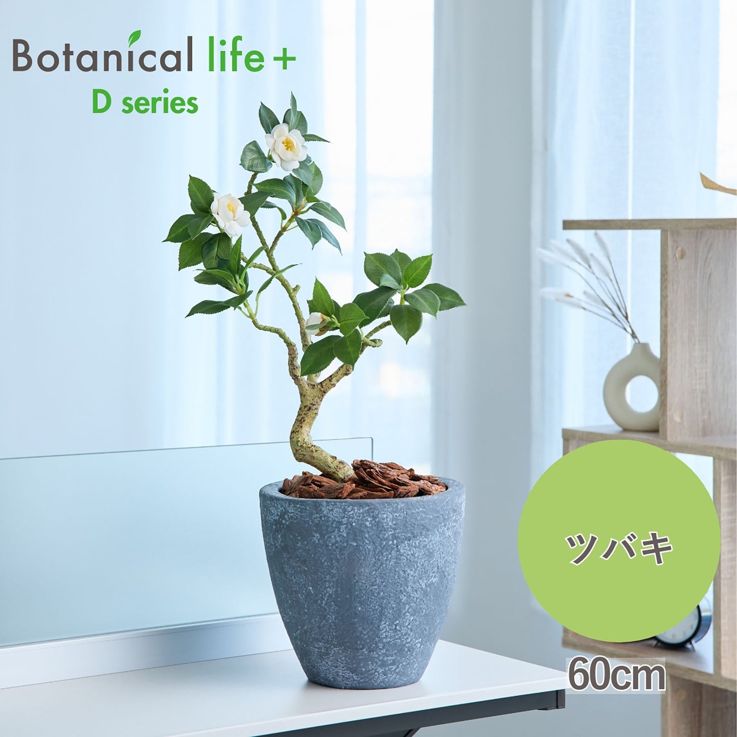 光触媒インテリアグリーン ツバキ 観葉植物 高さ60cm