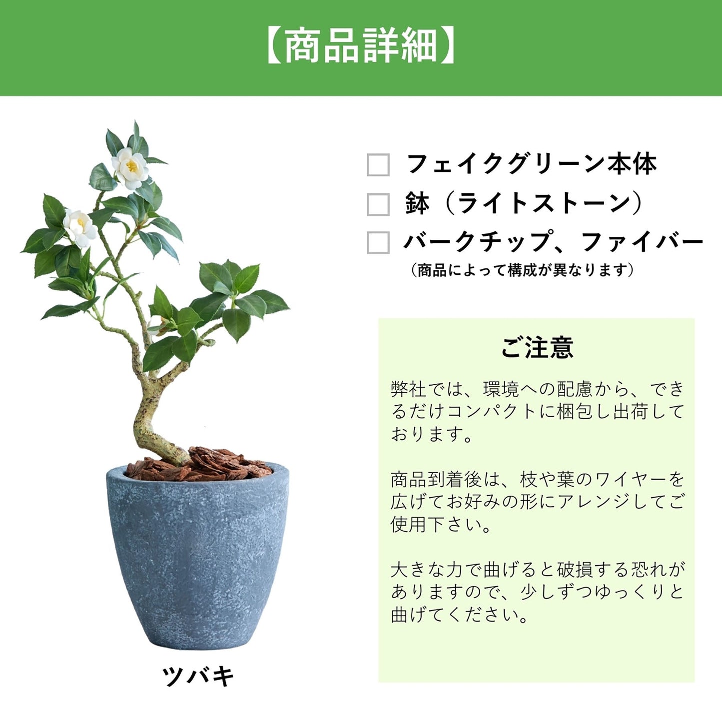 光触媒インテリアグリーン ツバキ 観葉植物 高さ60cm