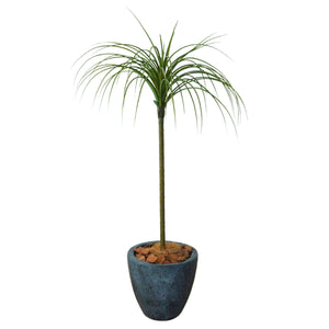 光触媒インテリアグリーン ドラセナ(細) 観葉植物 高さ90cm