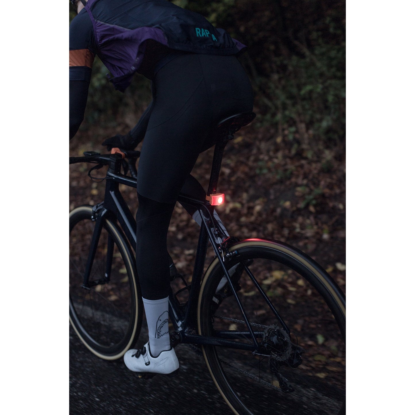 Curve Rear Light 自転車用カーブリアライト Black