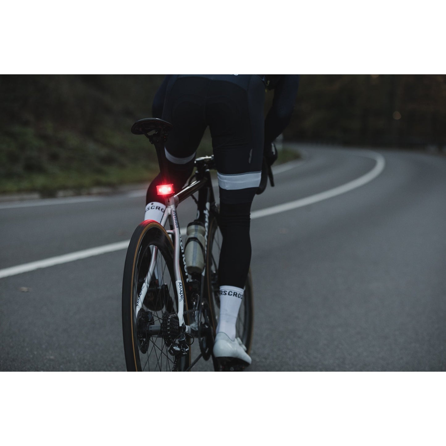 Curve Rear Light 自転車用カーブリアライト Black