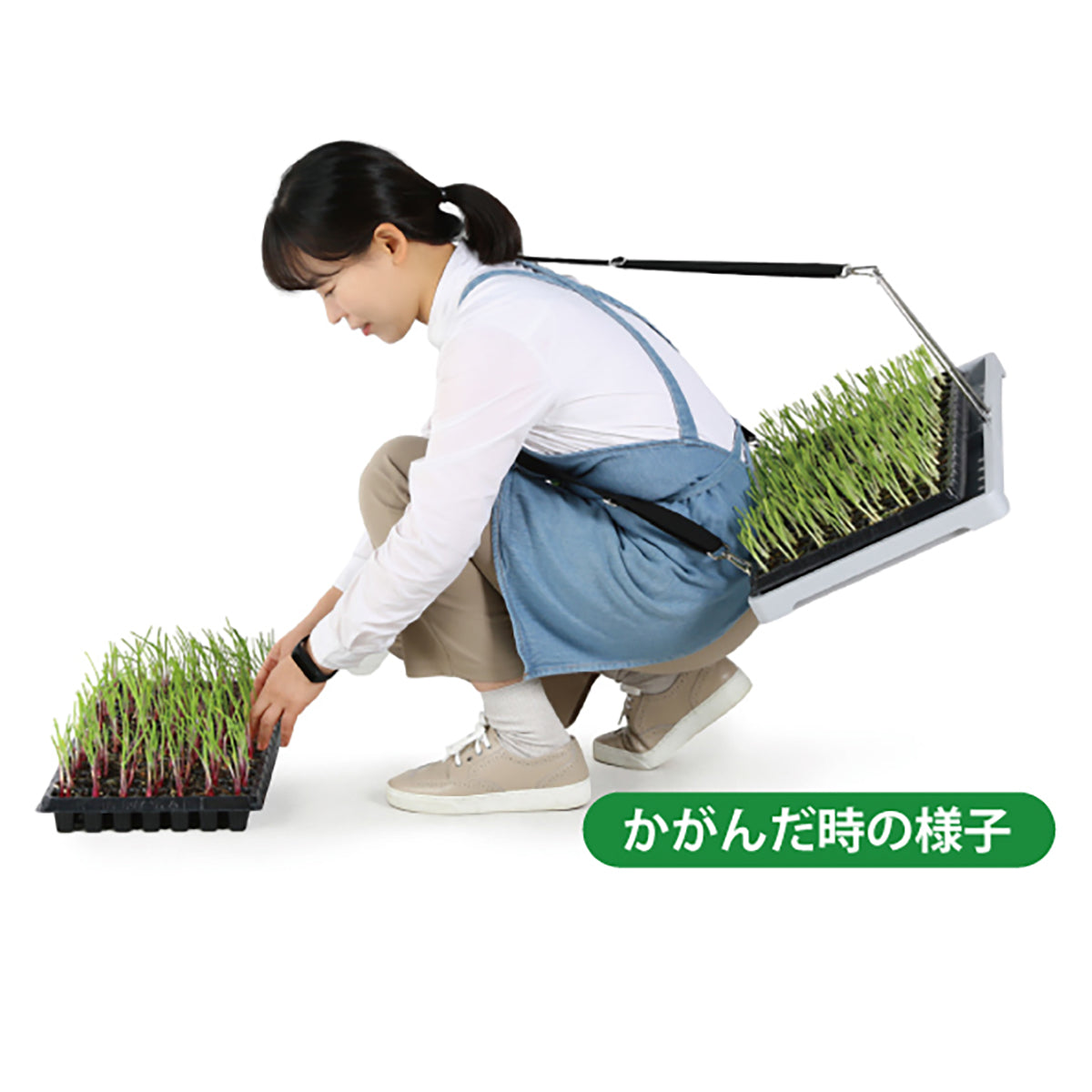 KSFARM スピード苗トレー