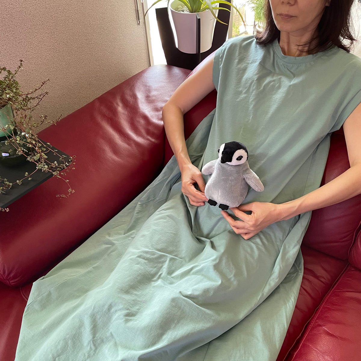ホット&スチームパッド ペンギン