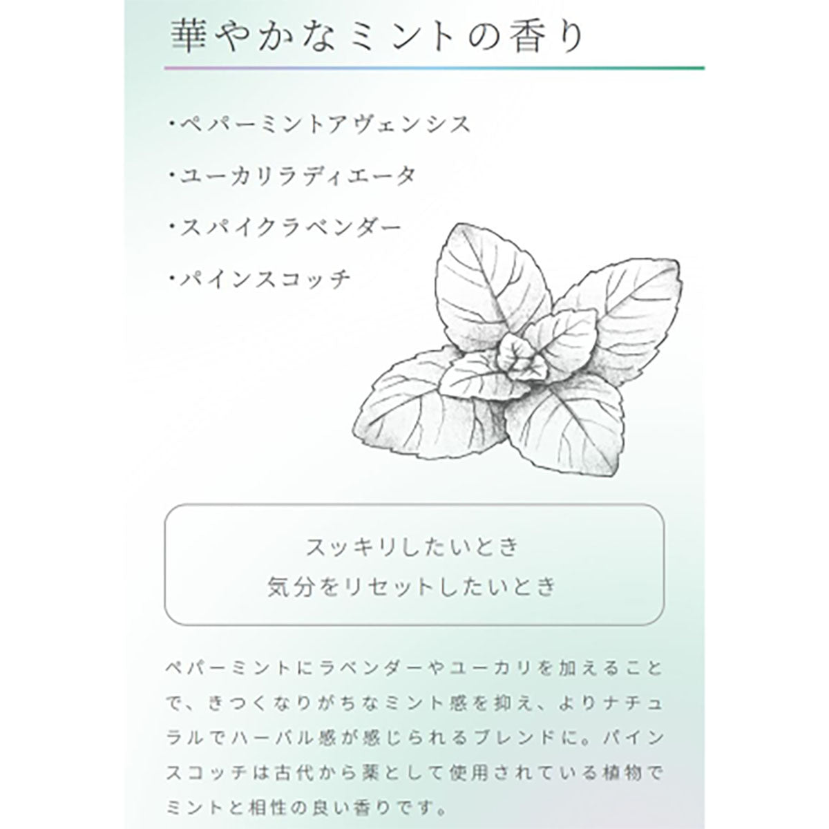 アロマゴコチ 18枚入り ミント