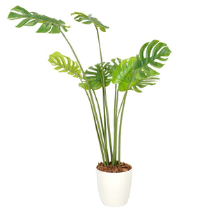 光触媒インテリアグリーン モンステラ150cm 鉢付き