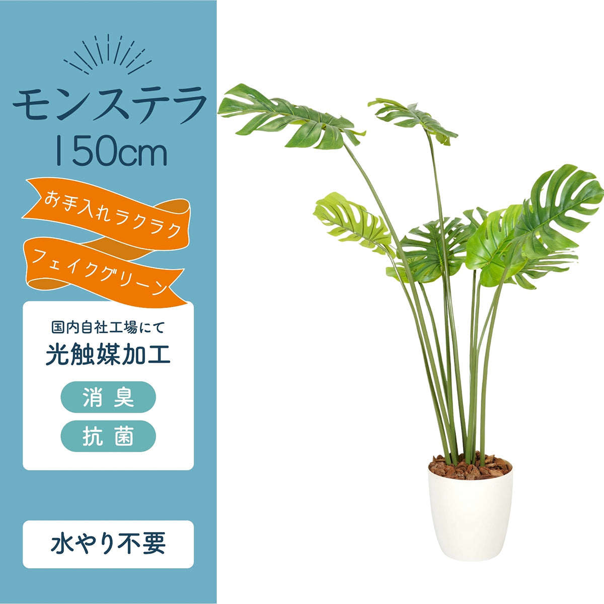 光触媒インテリアグリーン モンステラ150cm 鉢付き