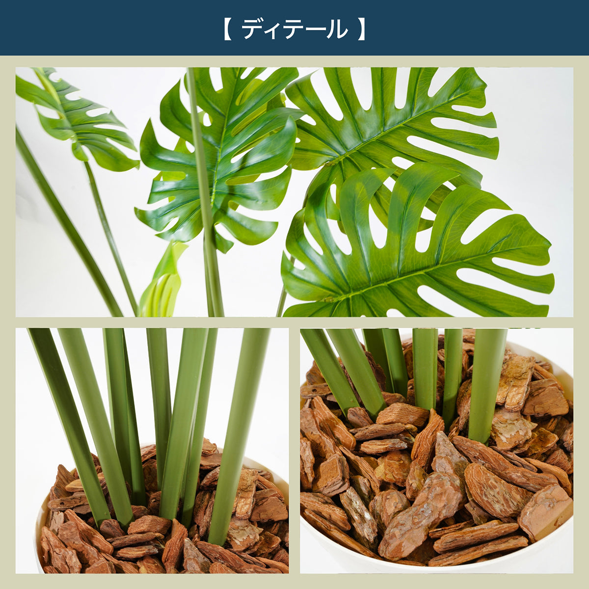 光触媒インテリアグリーン モンステラ150cm 鉢付き