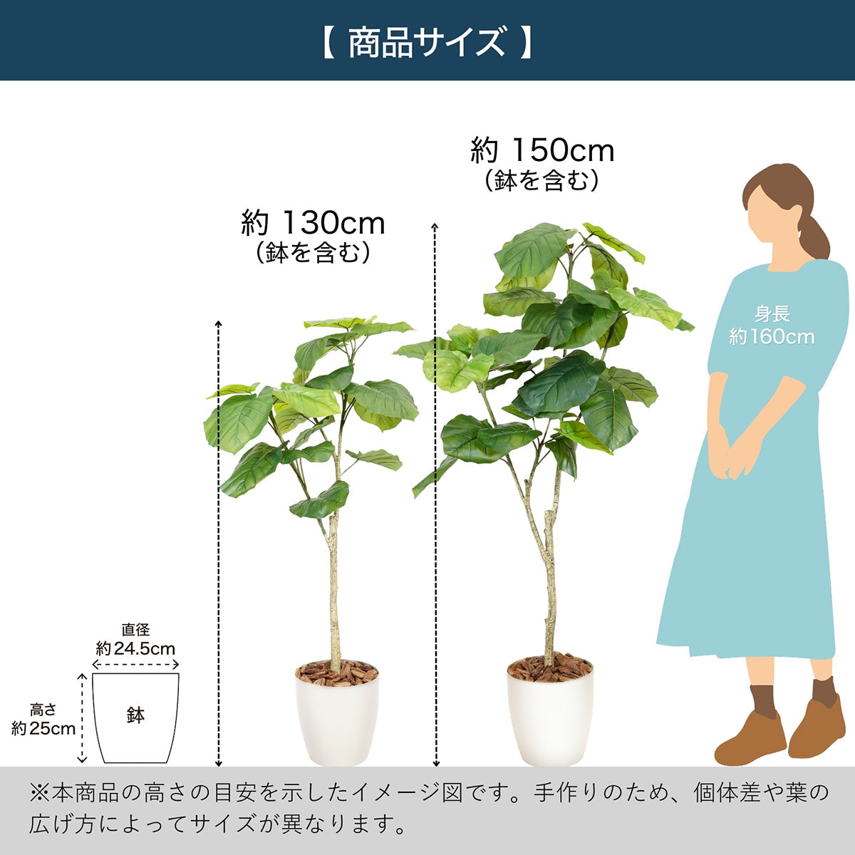 光触媒インテリアグリーン ウンベラータ150cm 鉢付き