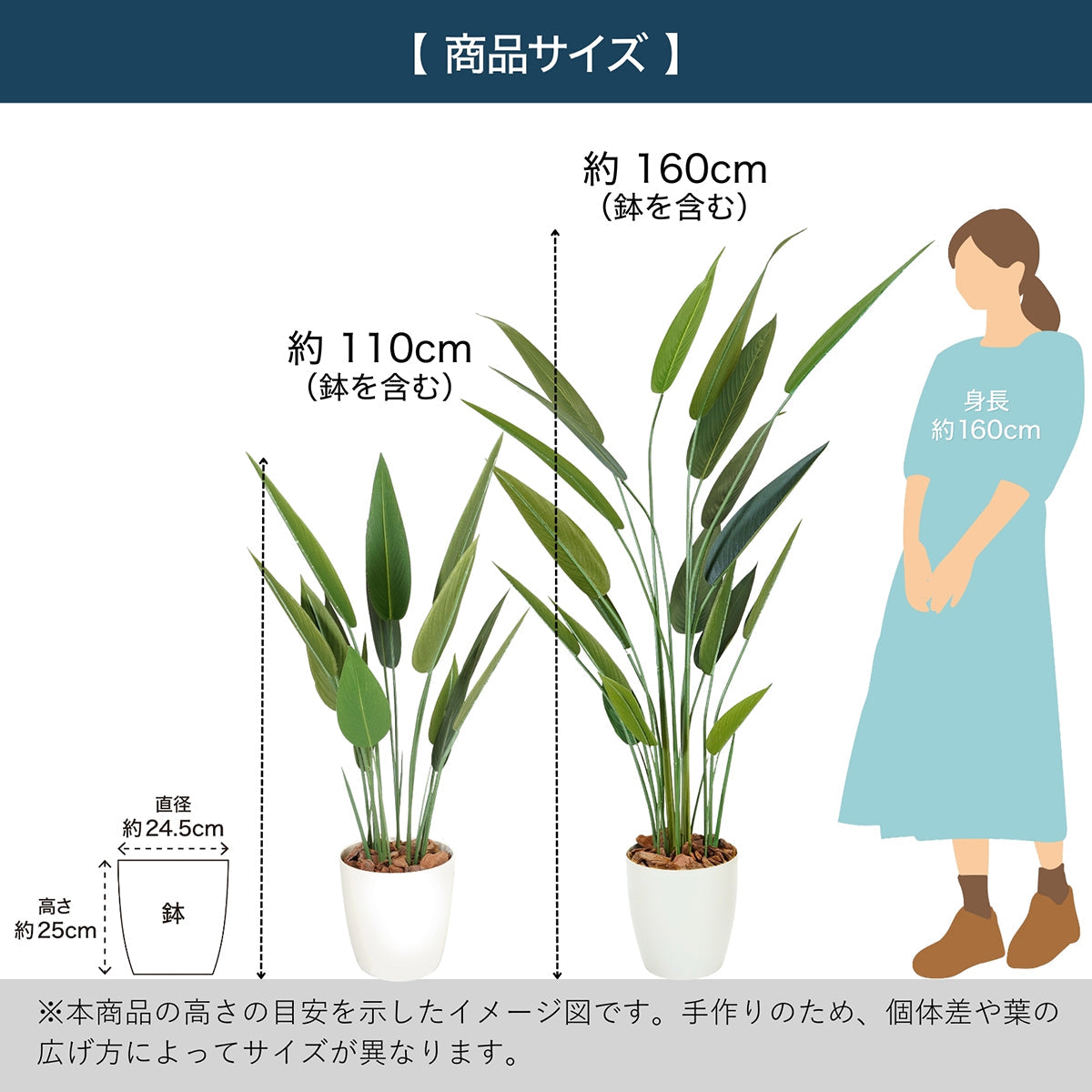 光触媒インテリアグリーン ストレリチア160cm 鉢付き
