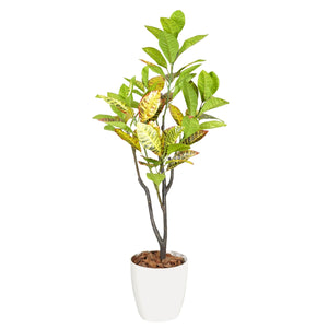 光触媒インテリアグリーン クロトン120cm 鉢付き