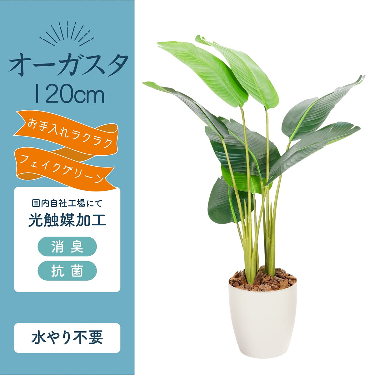 光触媒インテリアグリーン オーガスタ120cm 鉢付き