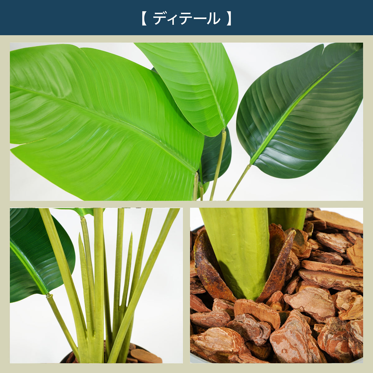 光触媒インテリアグリーン オーガスタ120cm 鉢付き