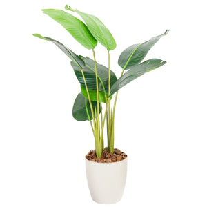 光触媒インテリアグリーン オーガスタ120cm 鉢付き