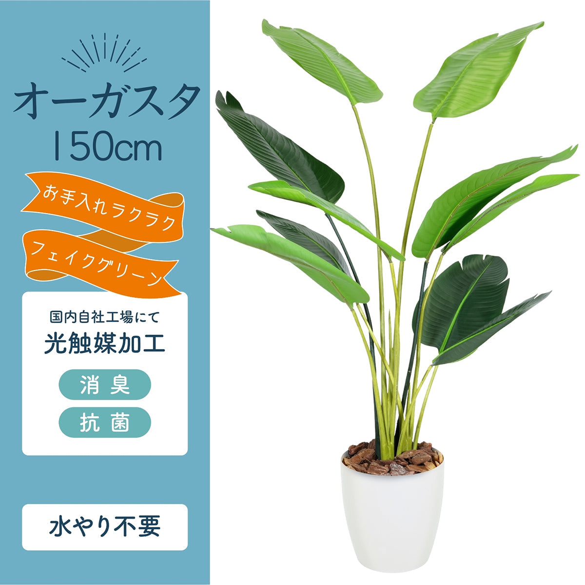 光触媒インテリアグリーン オーガスタ150cm 鉢付き