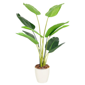 光触媒インテリアグリーン オーガスタ150cm 鉢付き