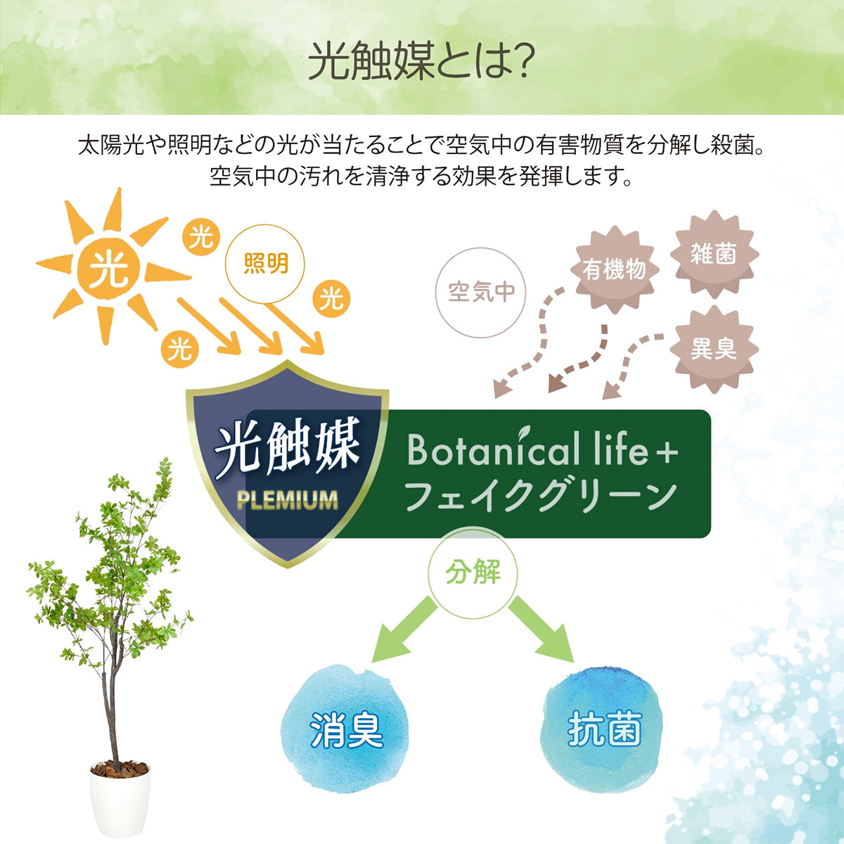 光触媒インテリアグリーン ドウダンツツジ120cm 鉢付き