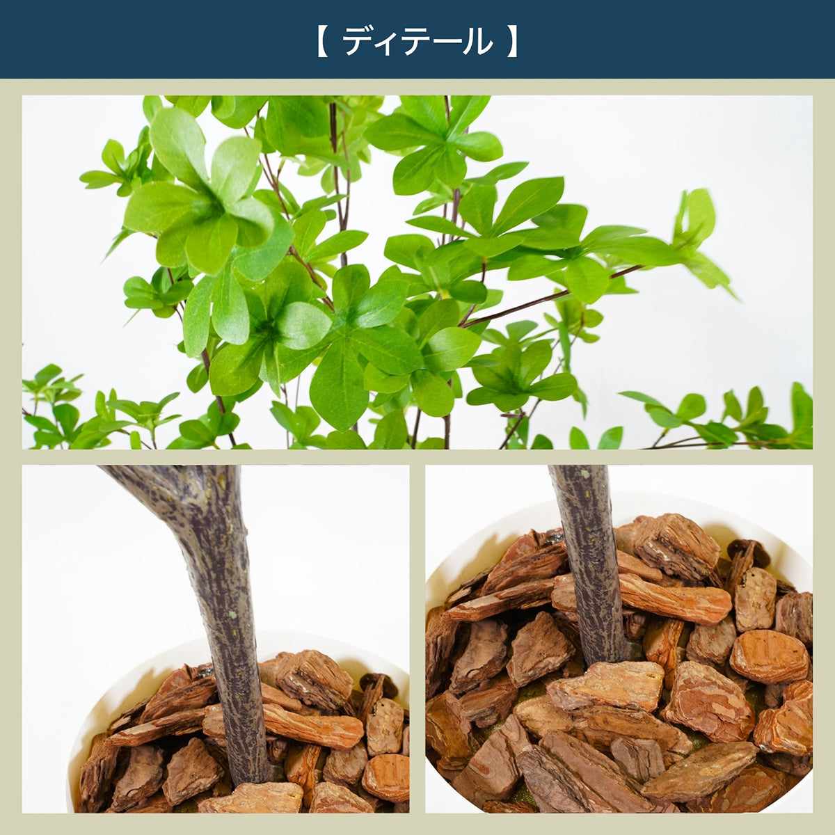 光触媒インテリアグリーン ドウダンツツジ120cm 鉢付き