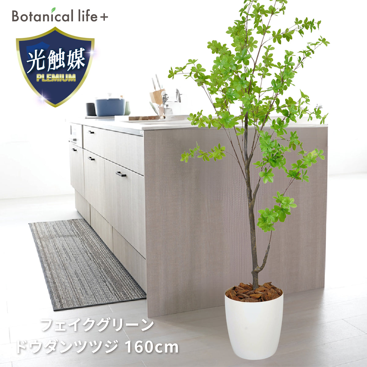 光触媒インテリアグリーン ドウダンツツジ160cm 鉢付き