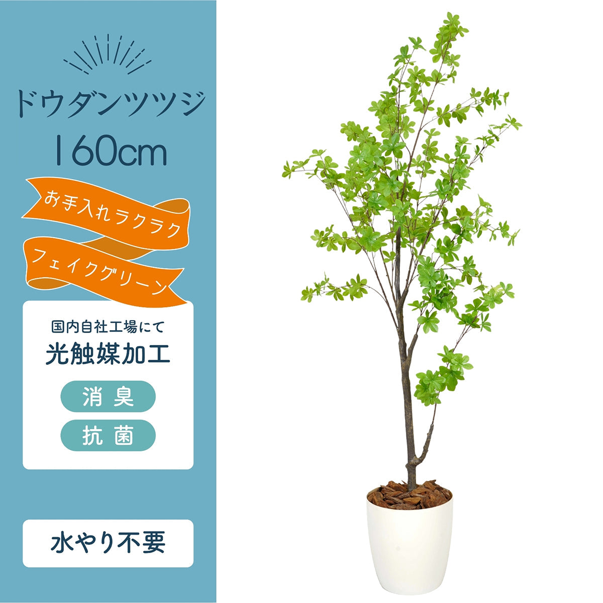 光触媒インテリアグリーン ドウダンツツジ160cm 鉢付き