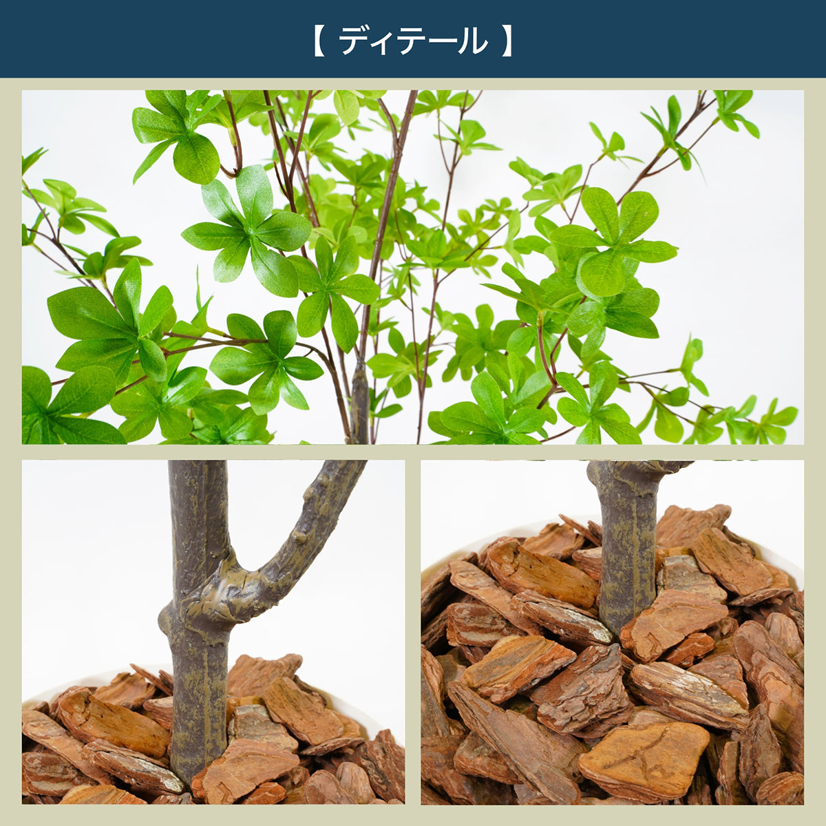 光触媒インテリアグリーン ドウダンツツジ160cm 鉢付き