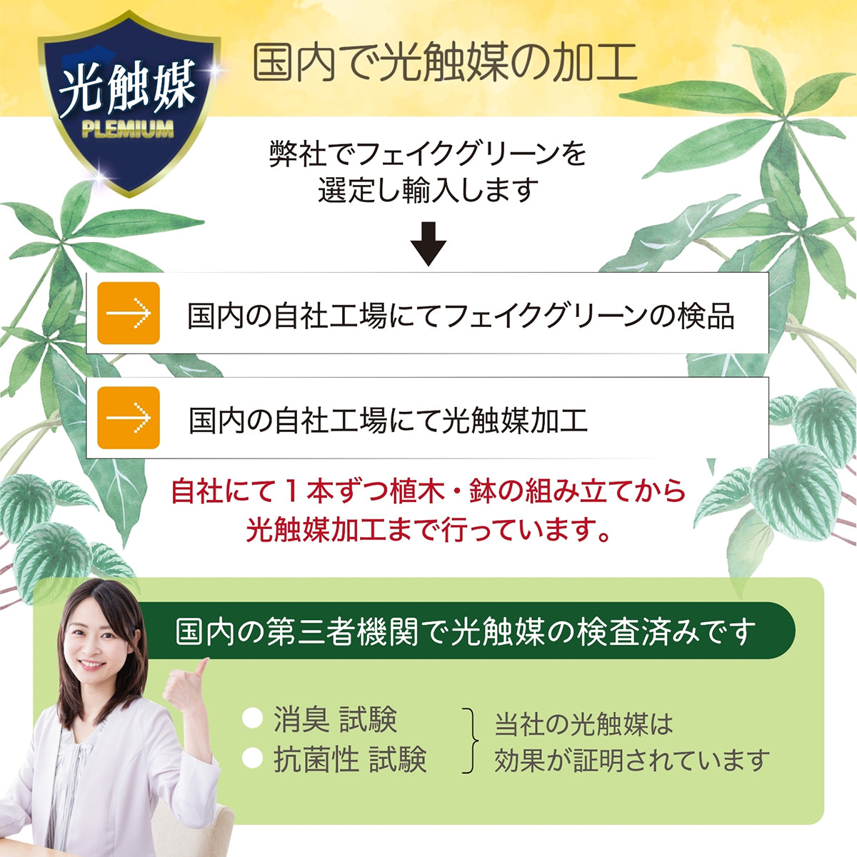 光触媒インテリアグリーン ドウダンツツジ160cm 鉢付き