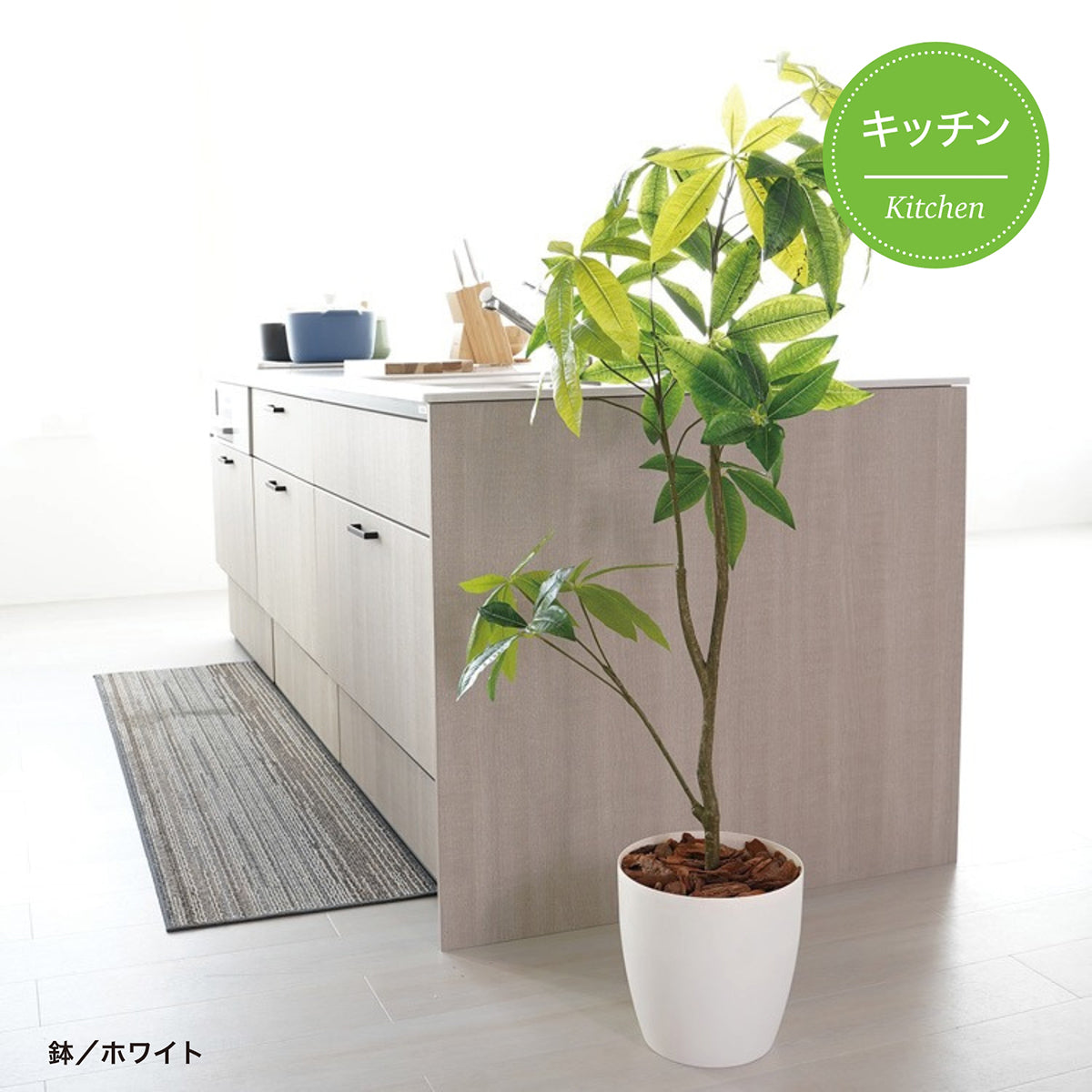 光触媒インテリアグリーン パキラ130cm鉢付き