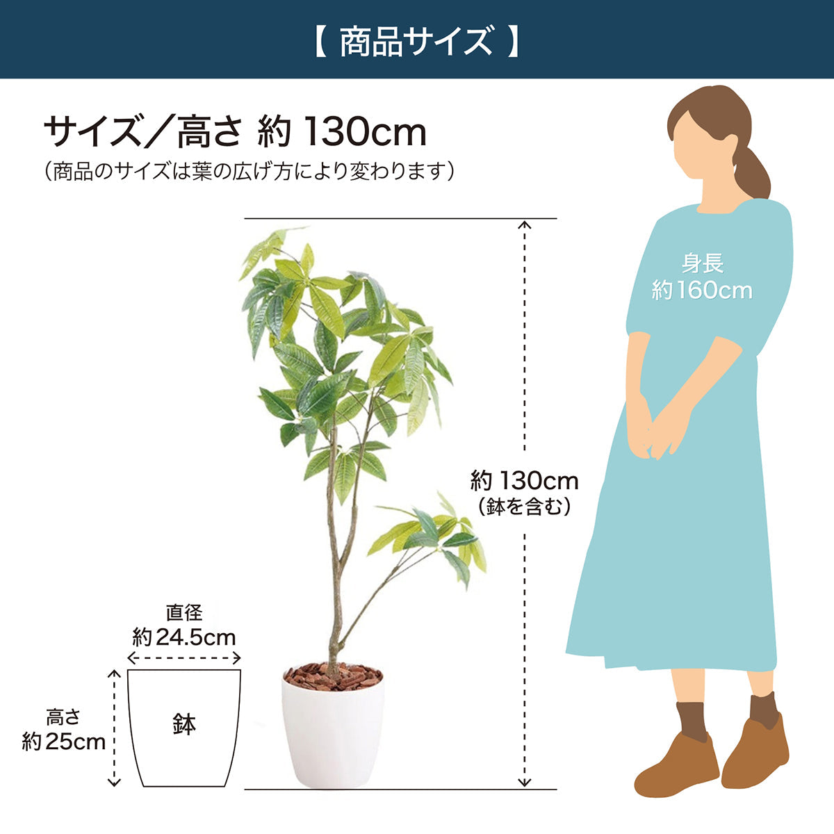 光触媒インテリアグリーン パキラ130cm鉢付き