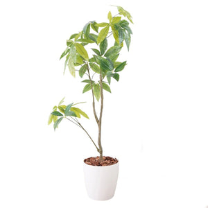 光触媒インテリアグリーン パキラ130cm鉢付き