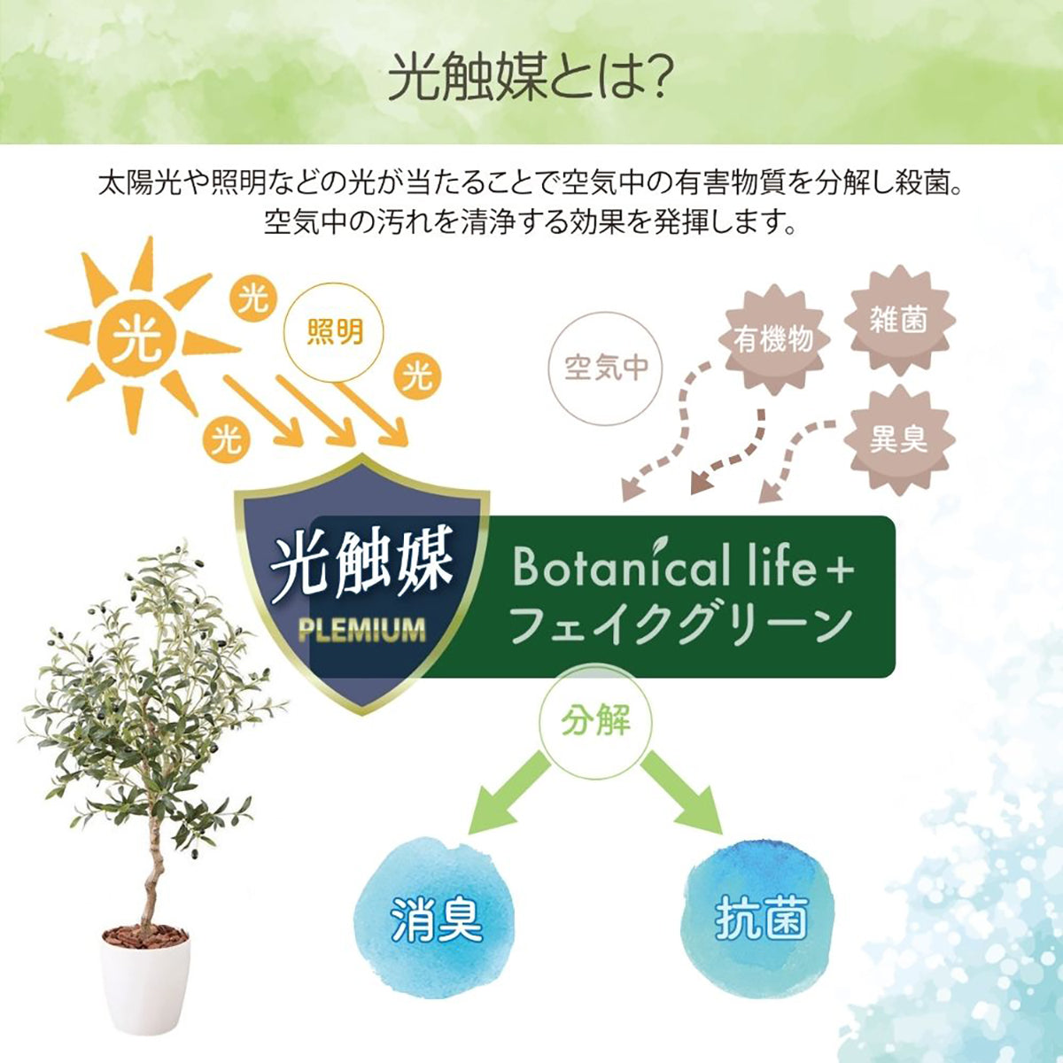 光触媒インテリアグリーン オリーブ130cm鉢付き