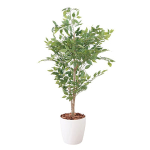 光触媒インテリアグリーン ベンジャミン130cm鉢付き