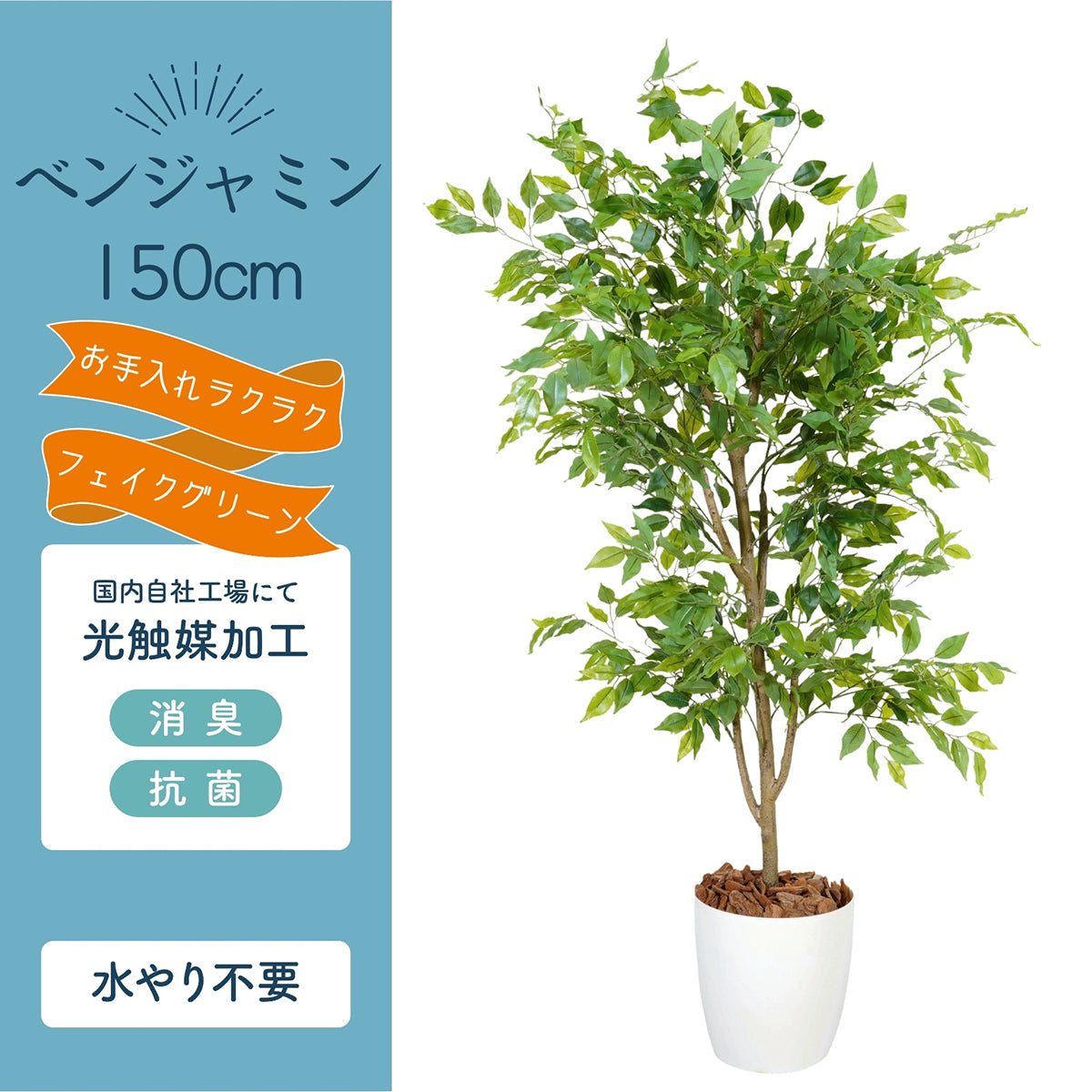 光触媒インテリアグリーン ベンジャミン150cm鉢付き