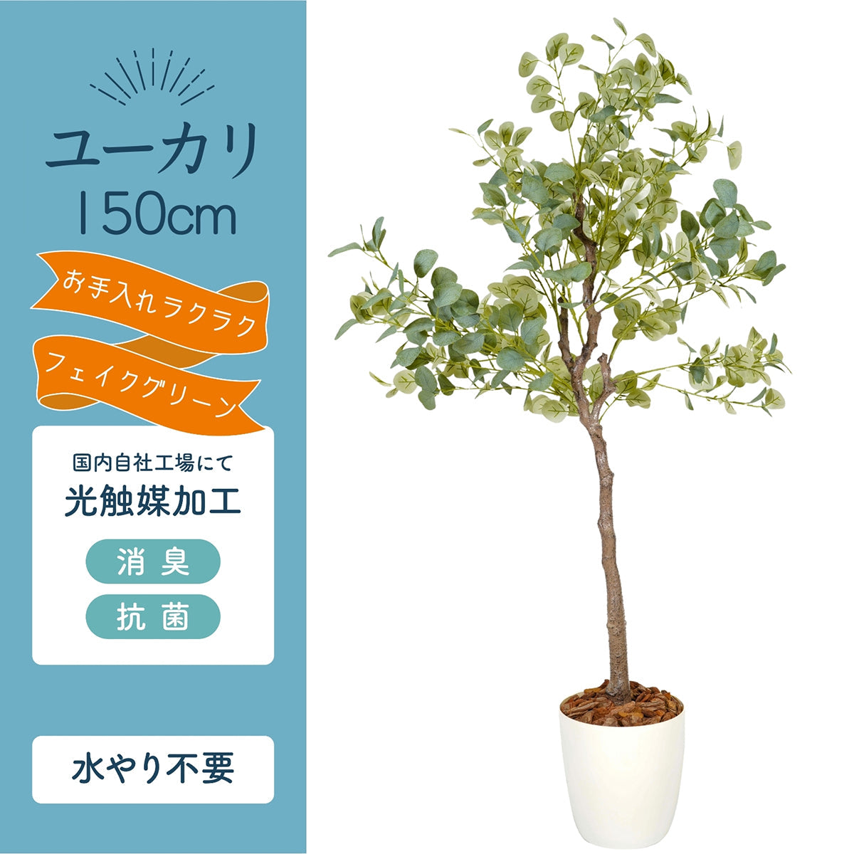 光触媒インテリアグリーン ユーカリ150cm鉢付き