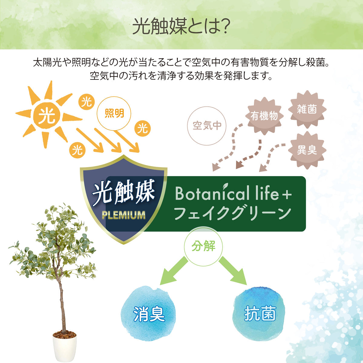 光触媒インテリアグリーン ユーカリ150cm鉢付き