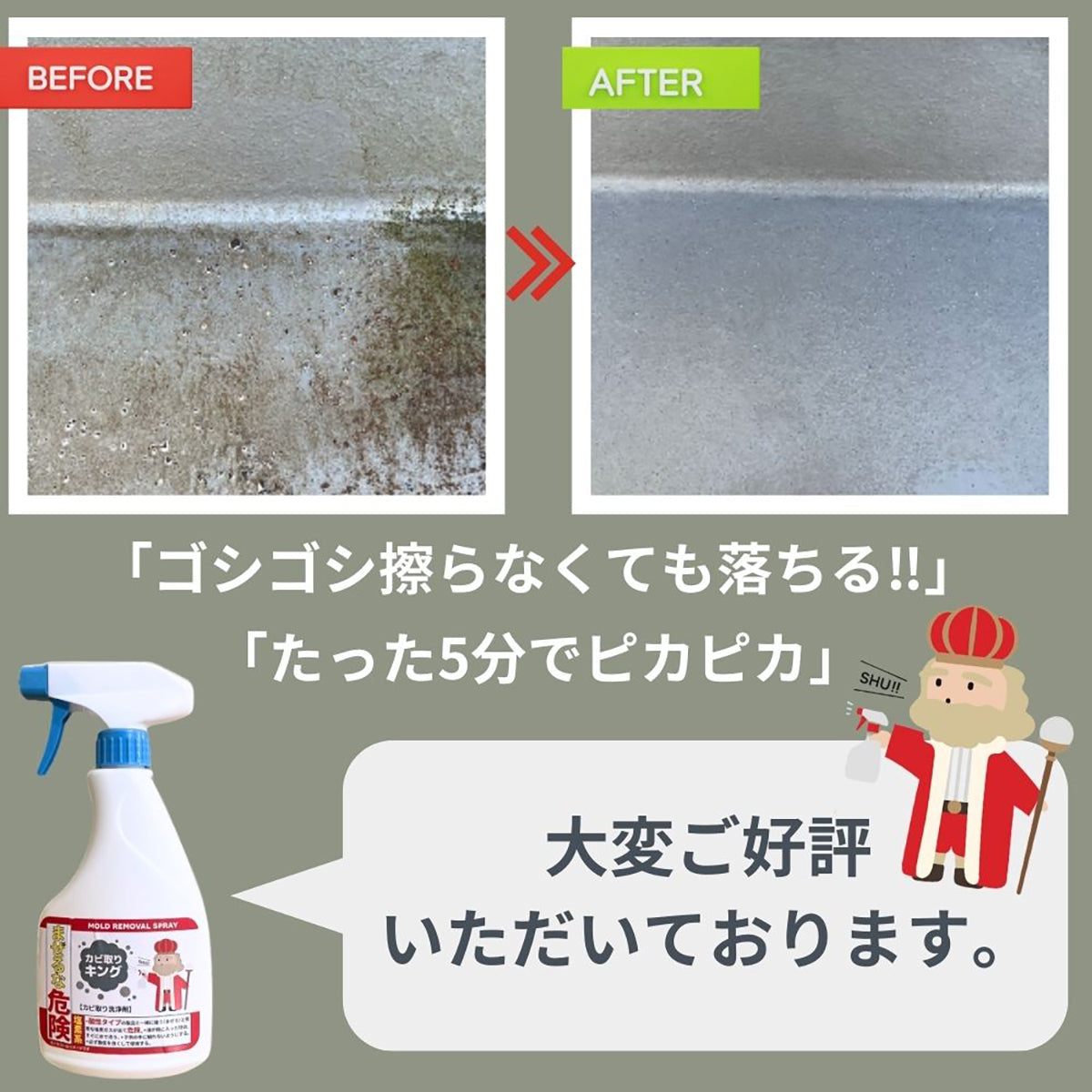 カビ取りキング 500ml カビ汚れ 掃除 清掃